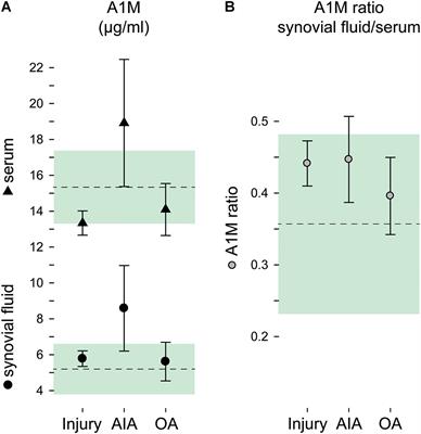 α1-Microglobulin Protects Against Bleeding-Induced Oxidative Damage in Knee Arthropathies